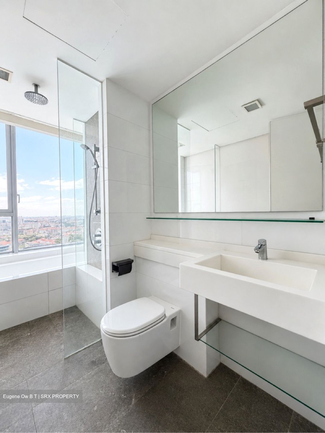 One Amber (D15), Condominium #602836121
